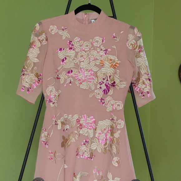 ASOS PREMIUM Chinoiserie Embroidered Mini Dress - Multi / US 2 - Picture 6 of 7